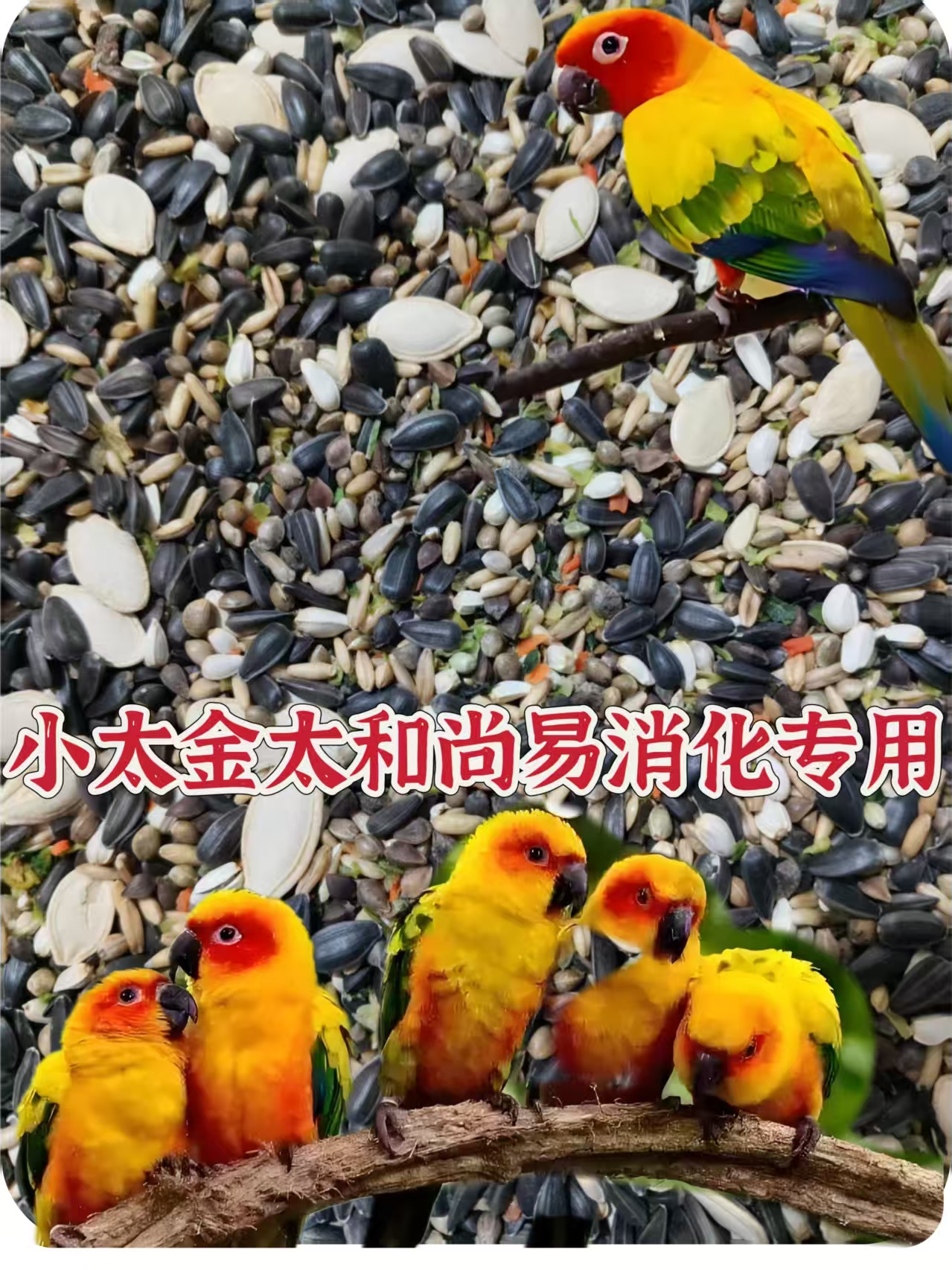 小太阳金太阳和尚易消化配方鹦鹉粮食