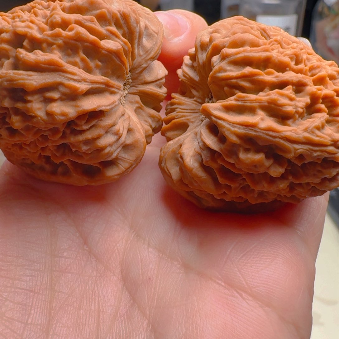 核桃把件40尺寸窝底南疆