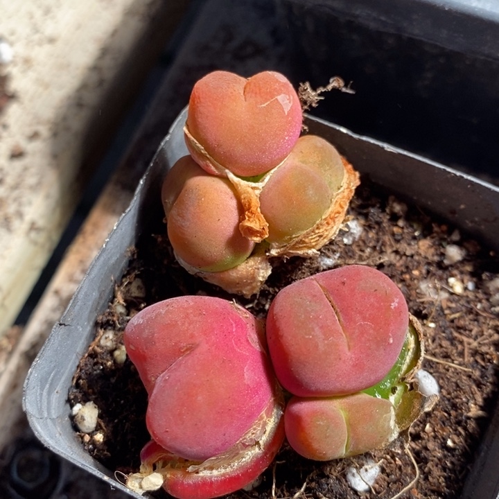 24105一组一组一组