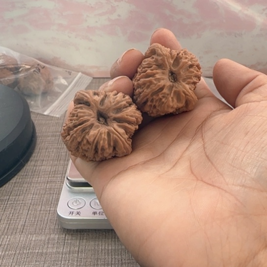 桃核吊坠是****狗核桃核桃