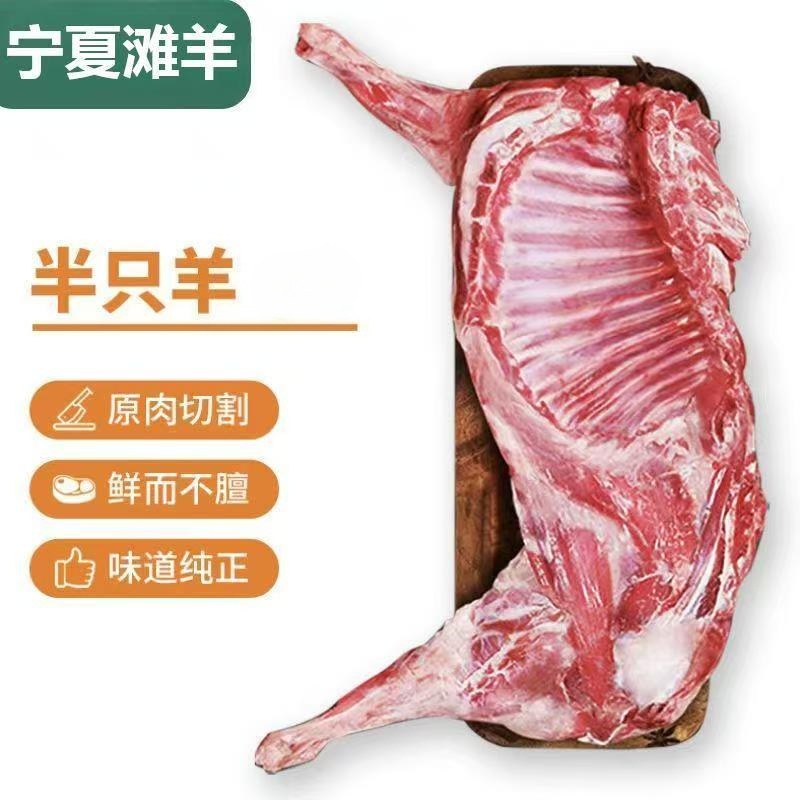 【新人送5斤】到手10斤顺丰宁夏滩羊半只羊新鲜羊排羊蝎子生鲜羊肉