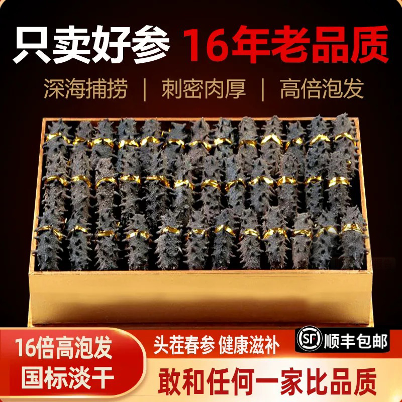 大连王家岛春参清货国标特级纯淡干无盐海参一斤泡发16斤左右