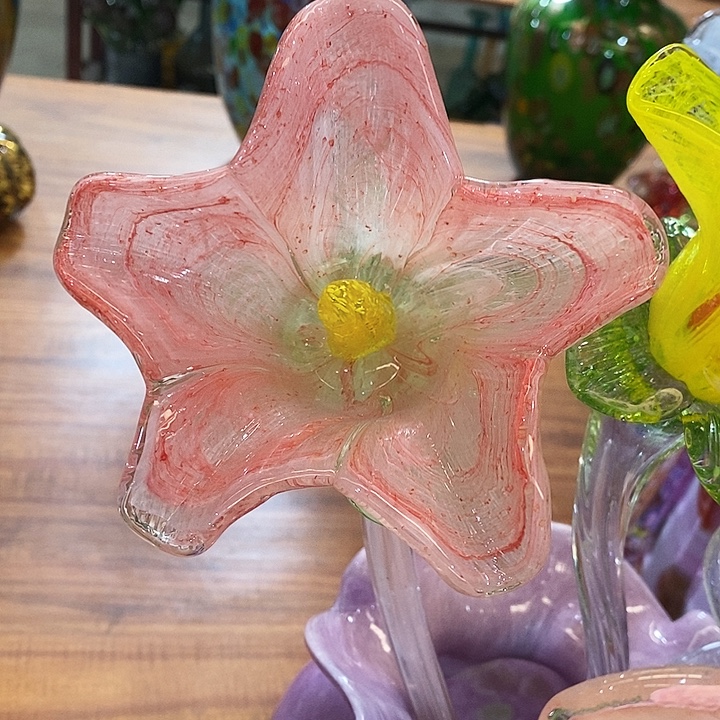 夜光花高45厘米宽12厘米