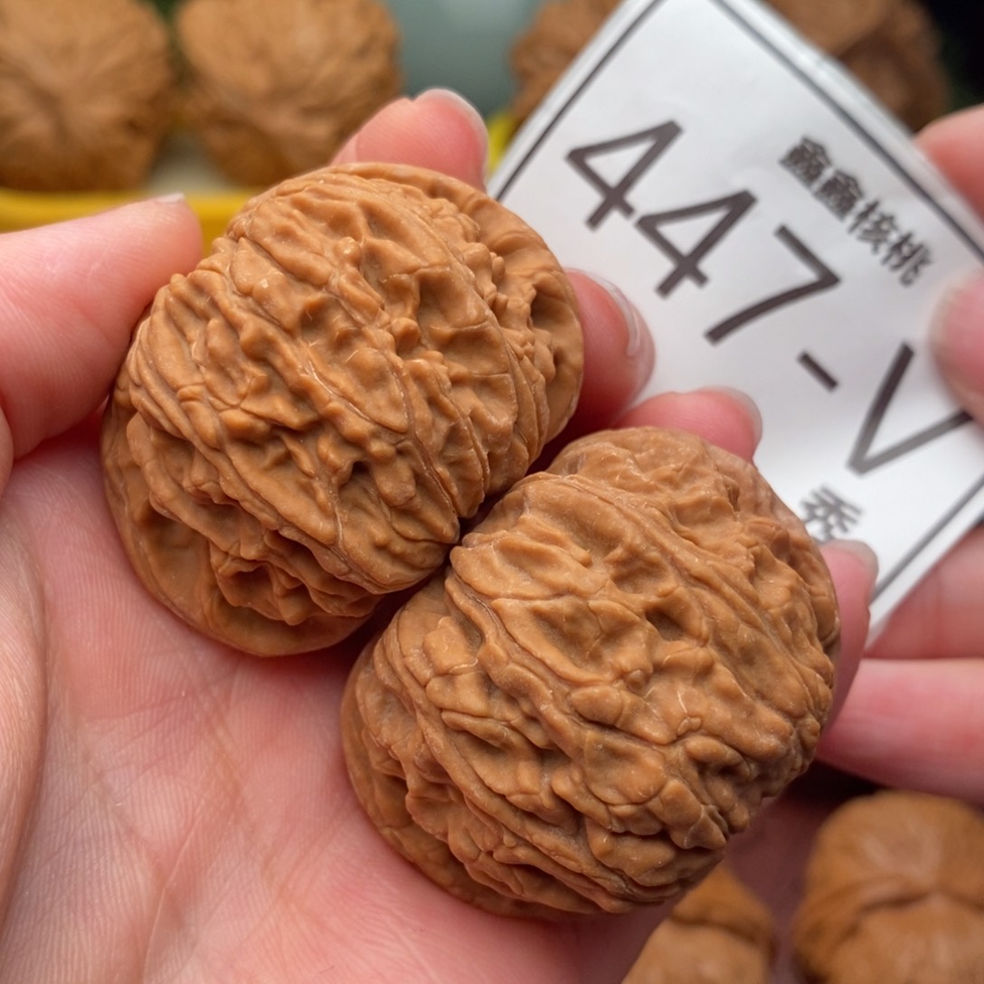 文玩核桃把件白狮42