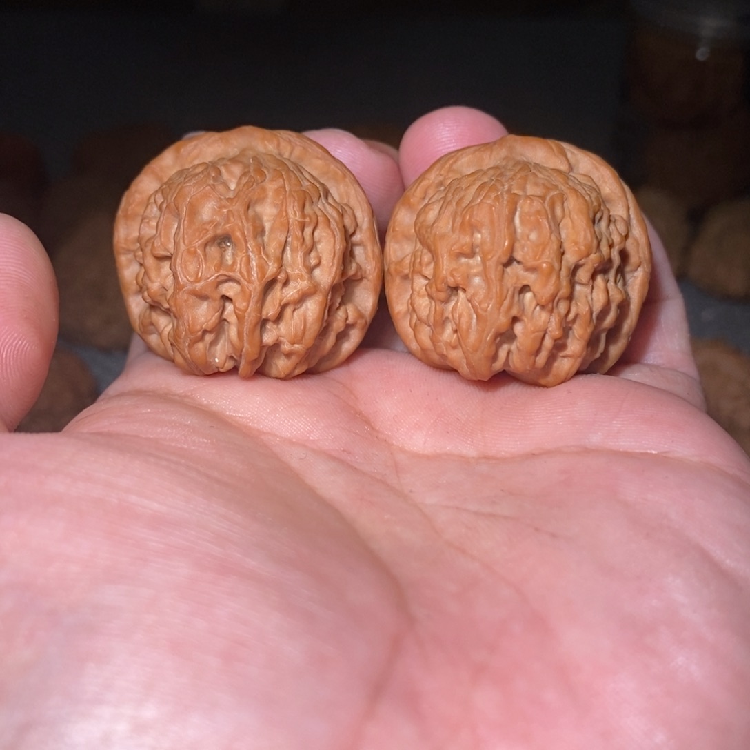 桃核吊坠36红狮子