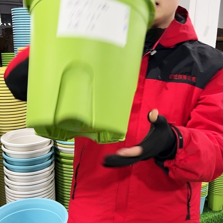 正品圆控口27.5高28果绿色5只无托
