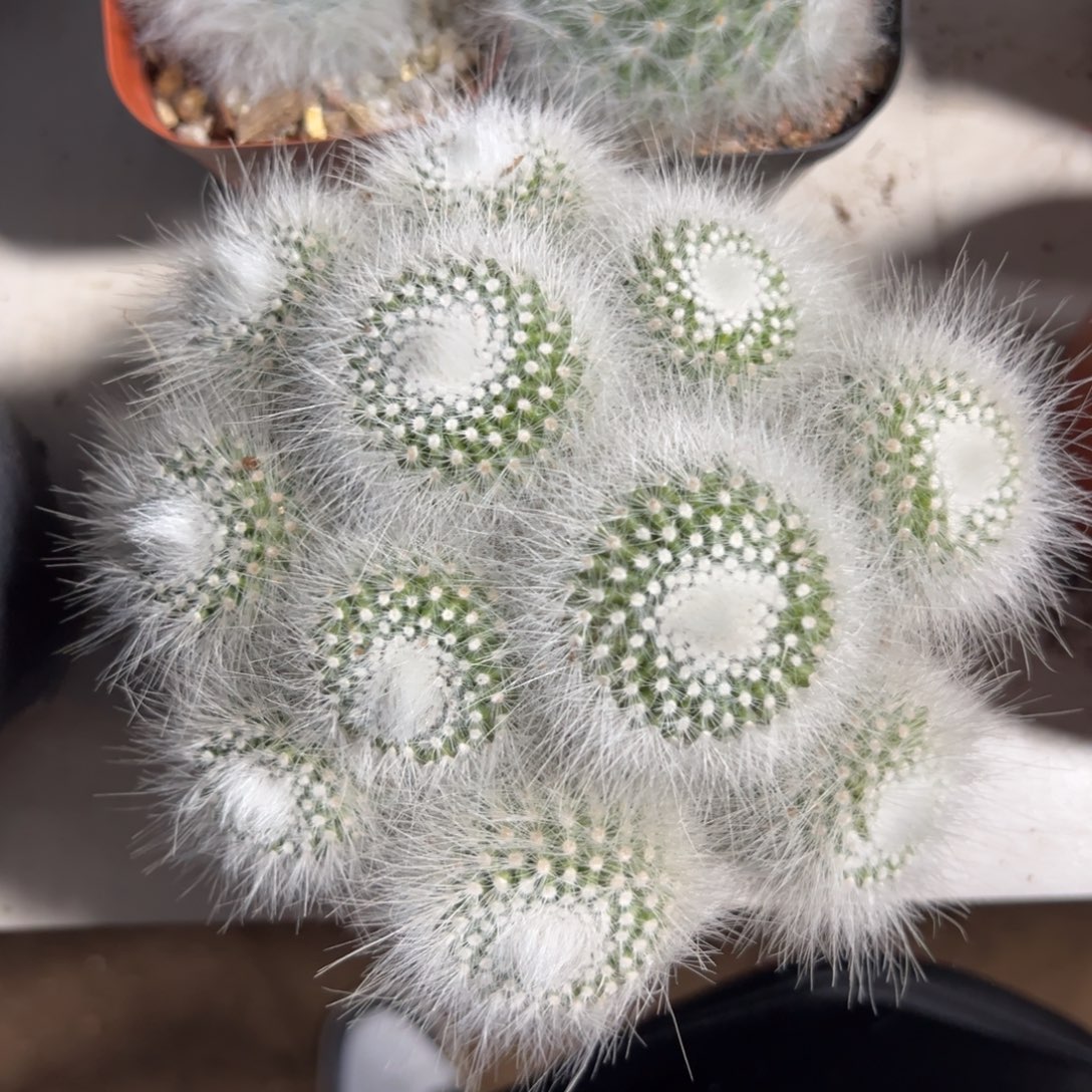 正***意哈哈哈哈哈哈哈哈哈哈哈哈