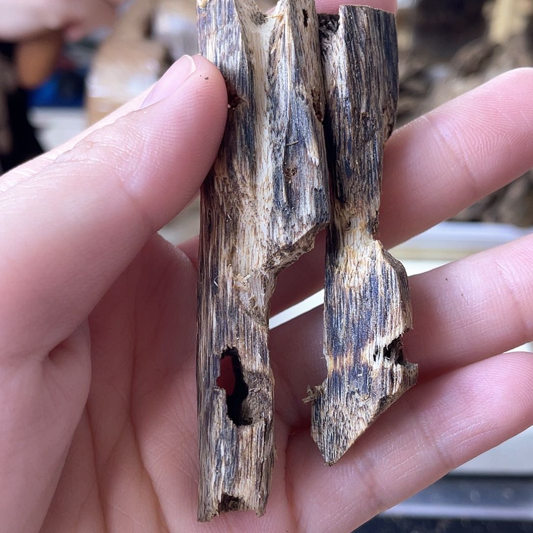 木绿奇楠原材料虫漏7克