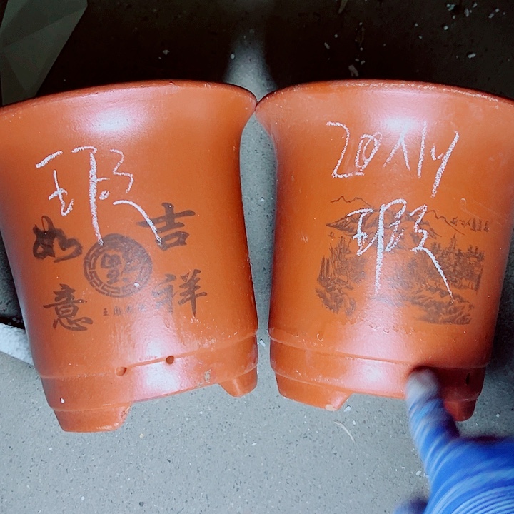 红陶紫砂紫砂紫砂