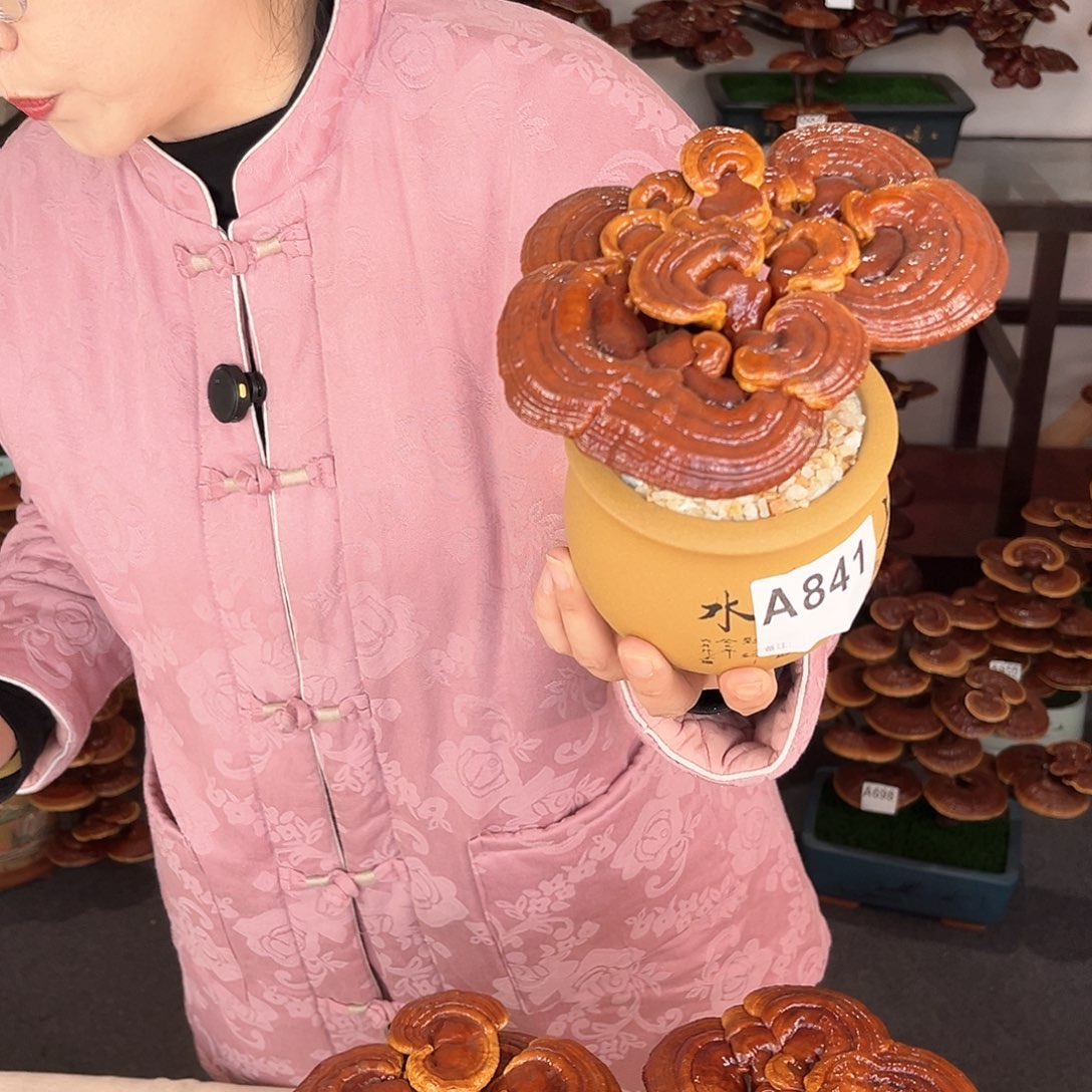 万事如意888888841