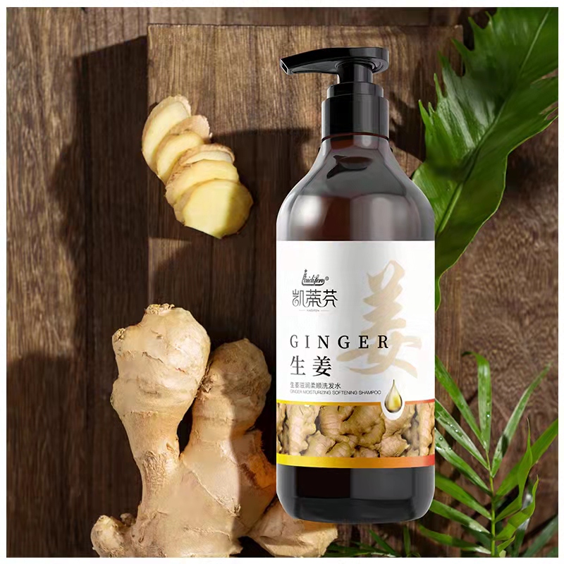 生姜滋润柔顺洗发水  凯蒂芬