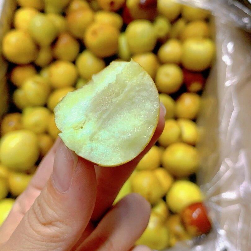 【富锦】大荔冬枣一斤