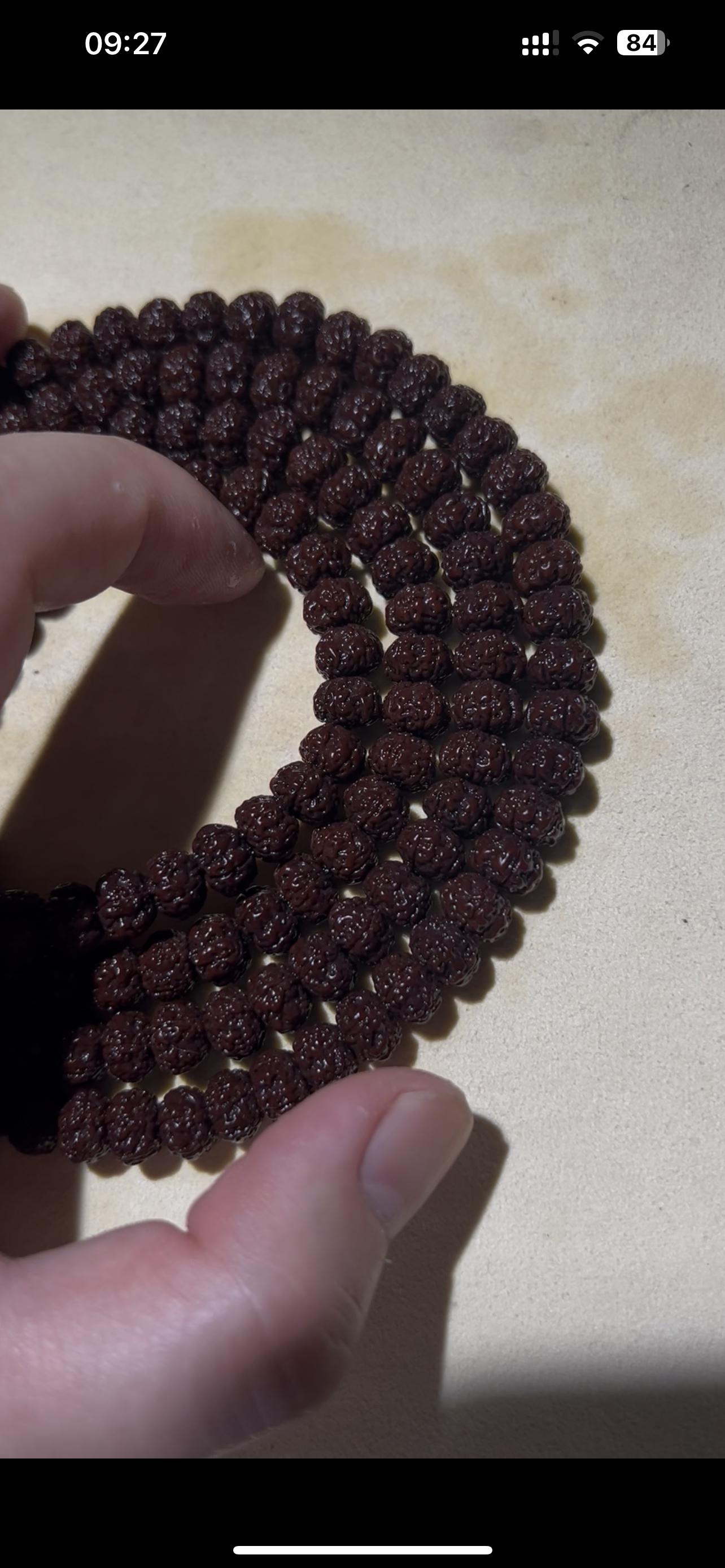 【老树平细长串】 老树细纹原生态小金刚高油高密