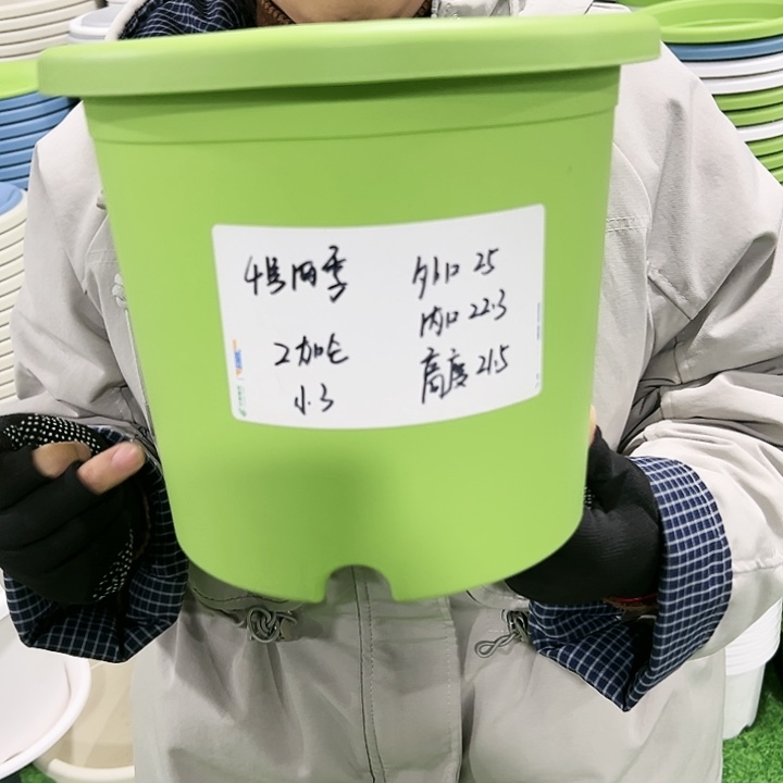 特价4号四季口25高21果绿色无托5只