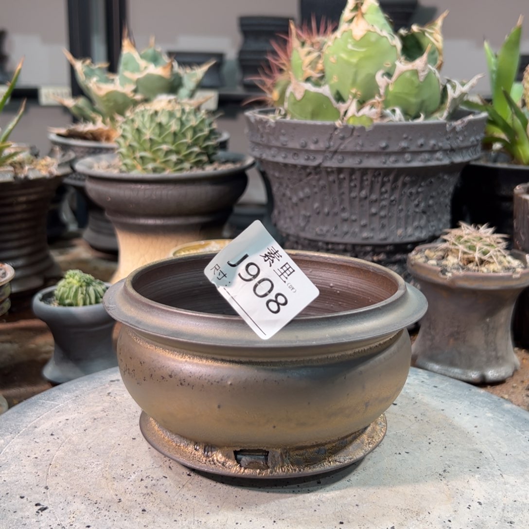 景德镇手工素里内面12.3高7.5福利