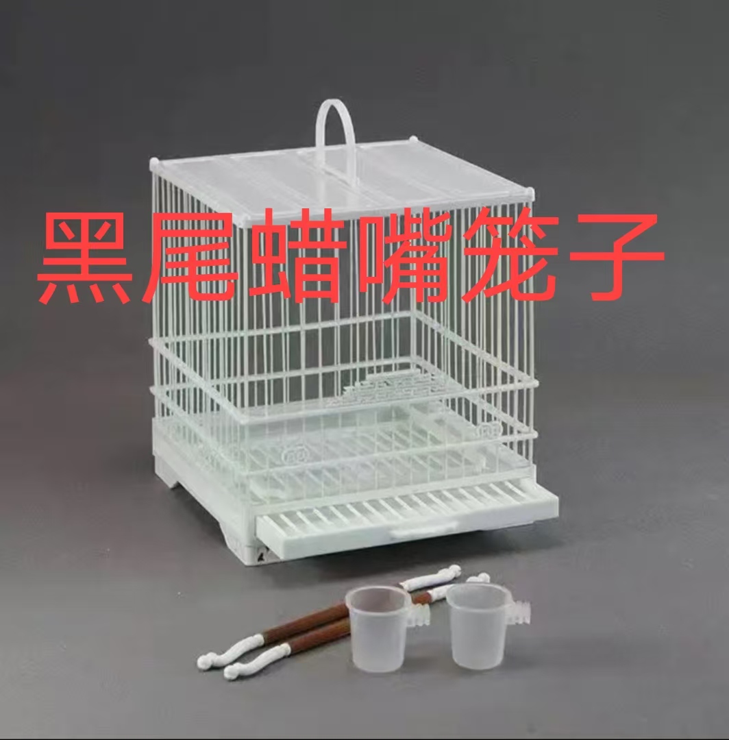 绣眼鸟笼  大全含柳莺红子贝子玉鸟麻料等多种鸟类适用 笼子