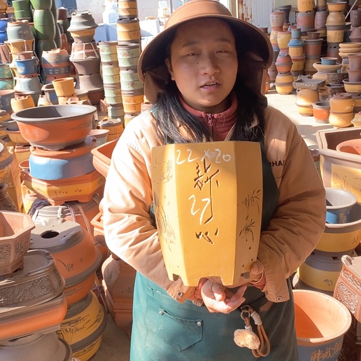 紫砂花盆盆栽花卉苗木种植