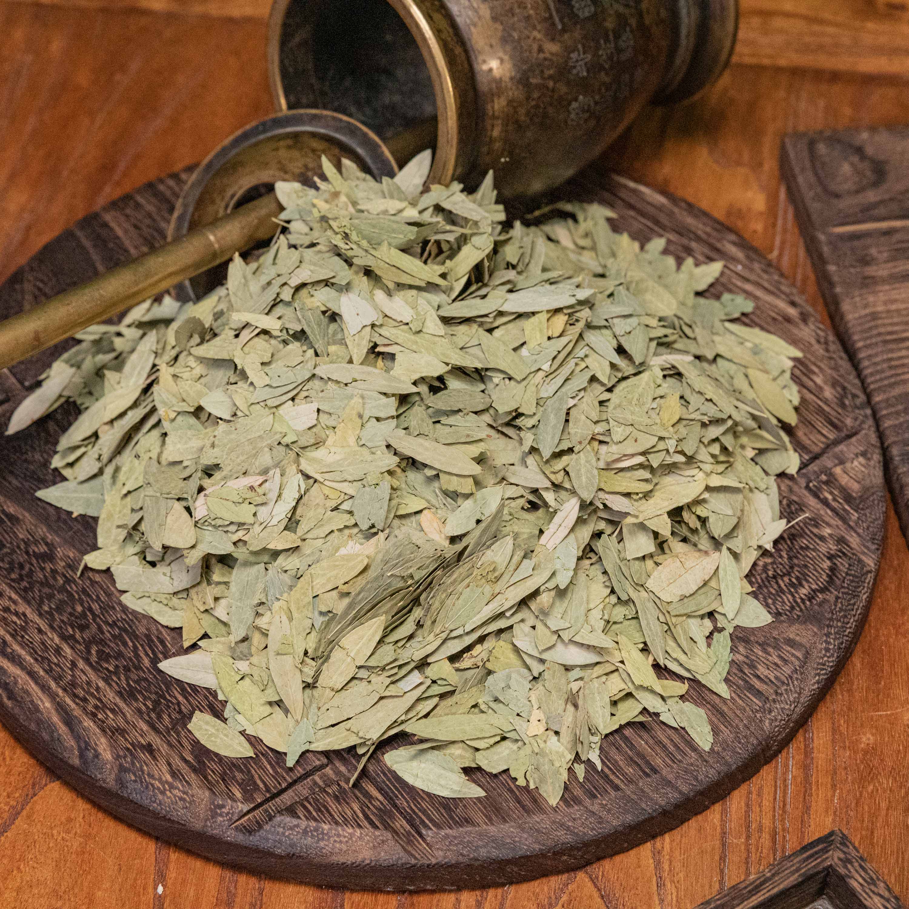 生番泻叶 道地高品质经方经典优质正宗原产地直邮新鲜