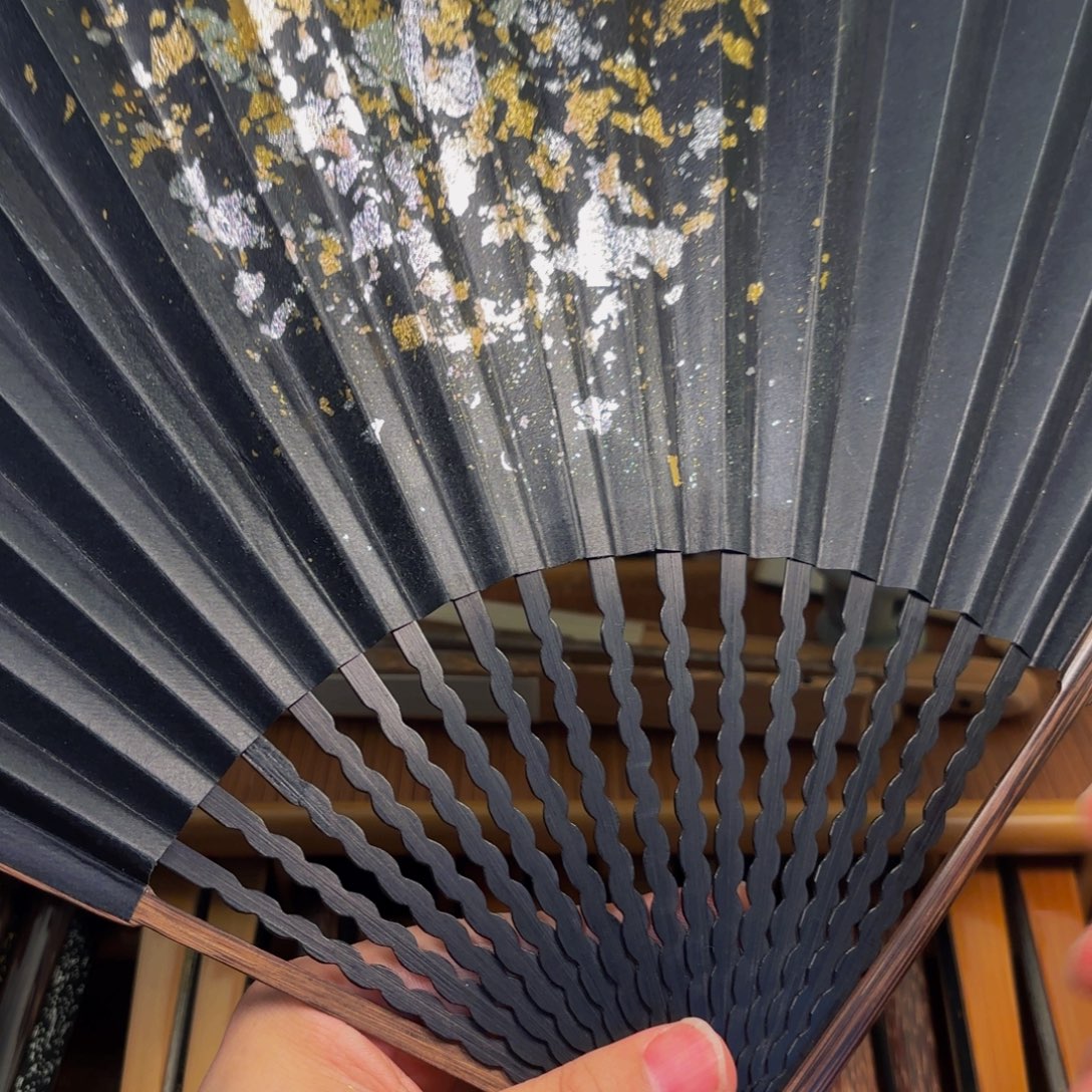扇子爆炸金龙鳞棕竹
