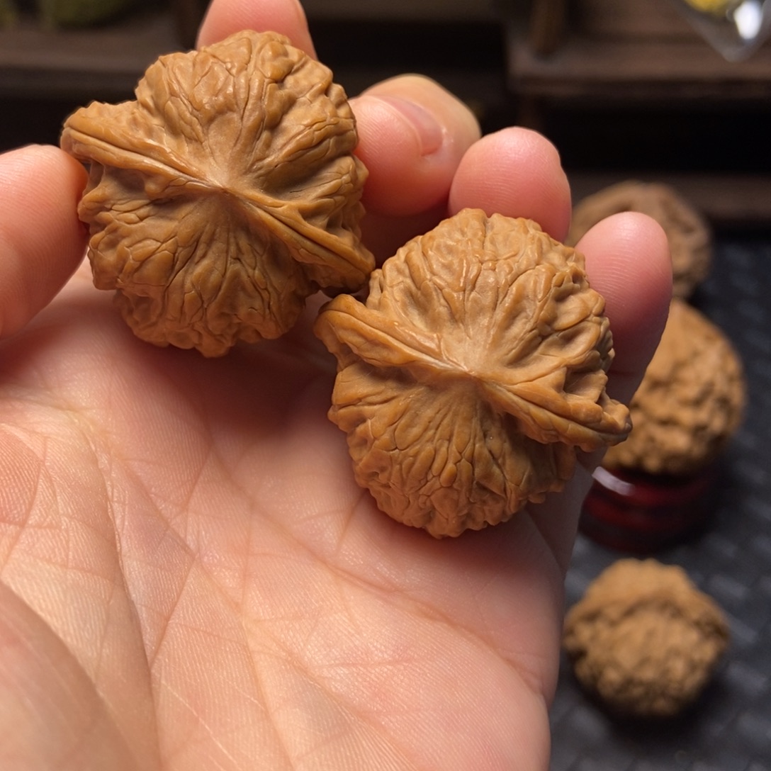 把件文玩核桃野狼尺寸35