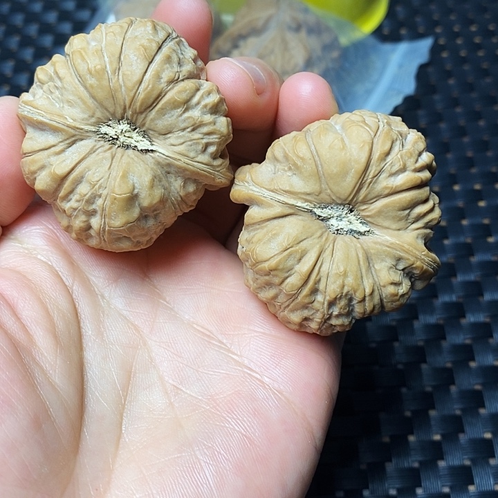 文玩核桃吊坠南瓜蹲