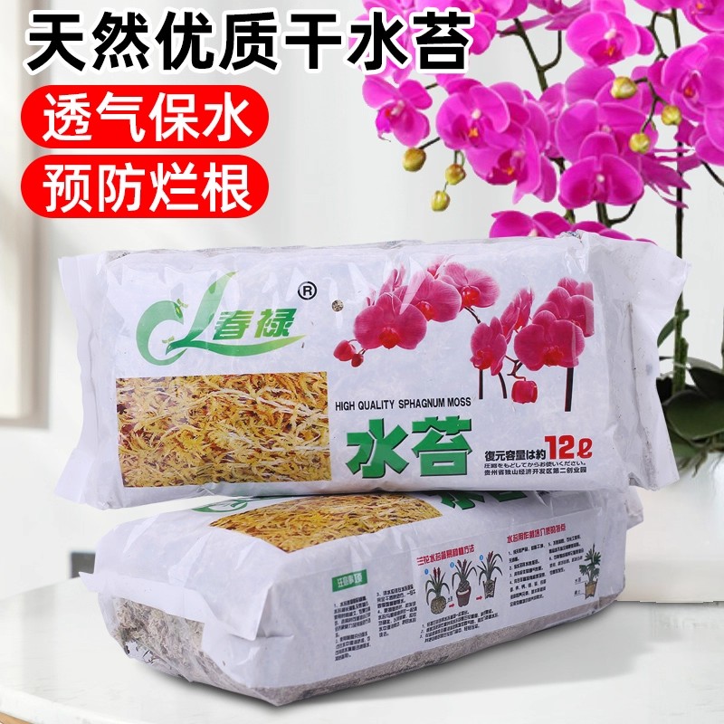 蝴蝶兰土壤专用水苔干苔藓兰花种植养护通用造景营养土干水苔