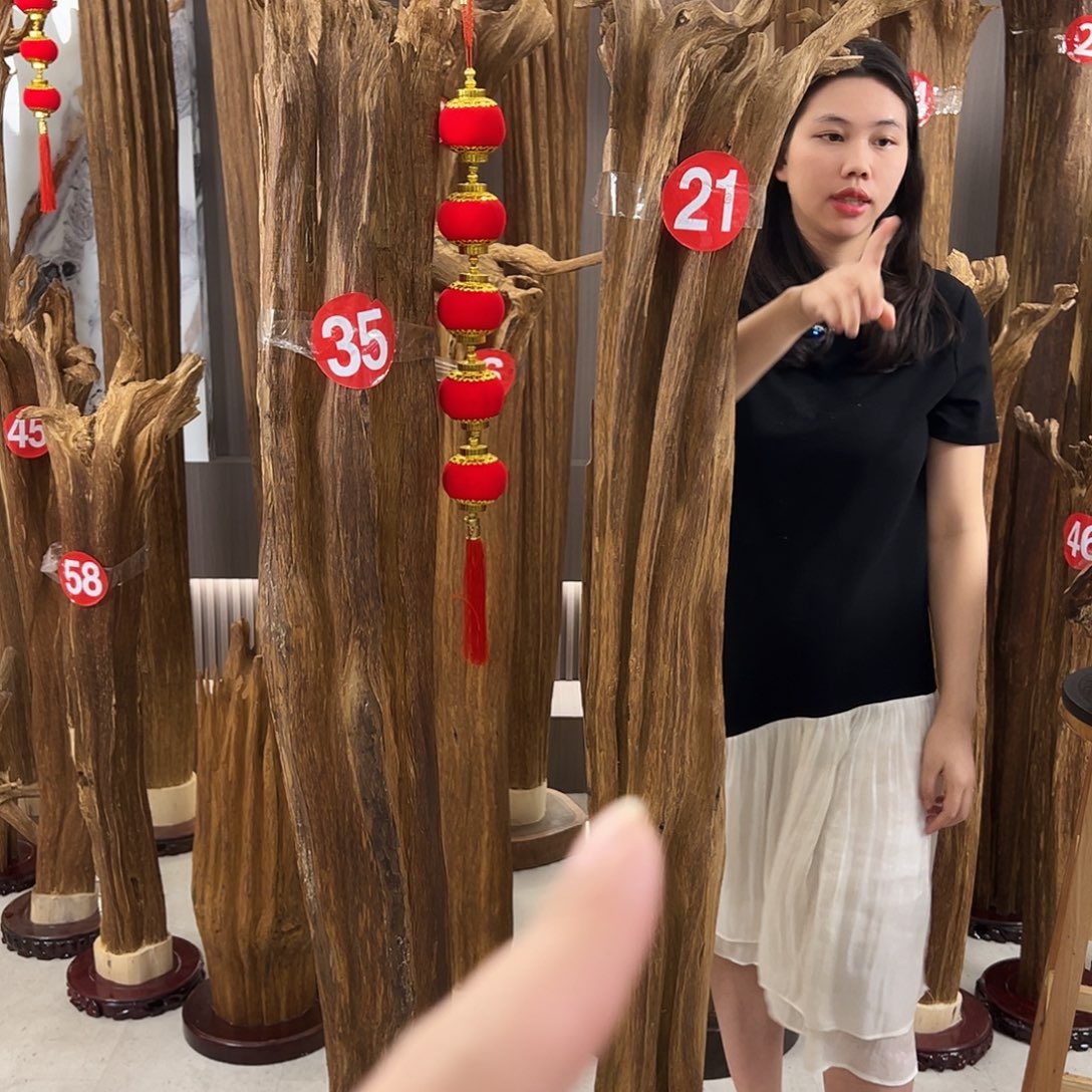 心***莲沉香碎屑沉香天然沉香