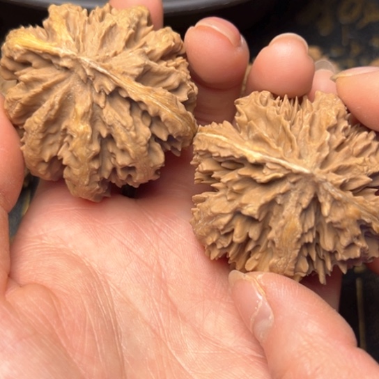 文玩核桃吊坠ꫛ****秦岭核桃6