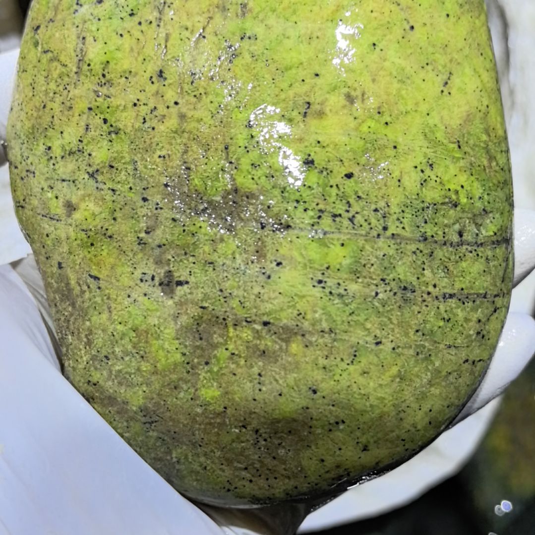 用***7藏玉药王石原石一个