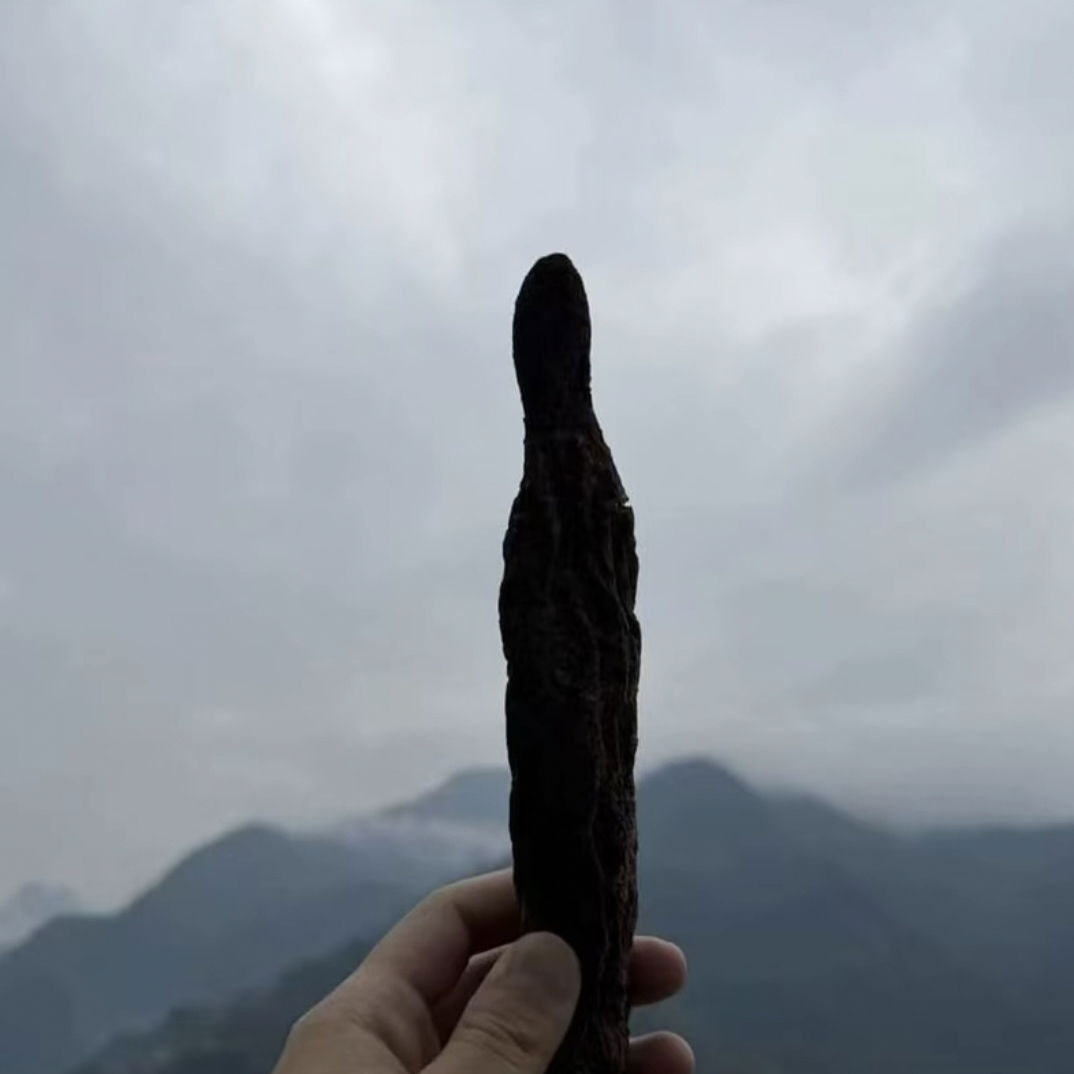 高山高海拔原料六位泡精选原料