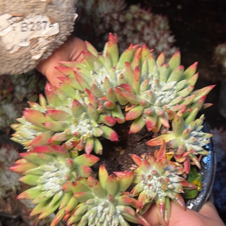 204哈哈哈哈哈哈哈