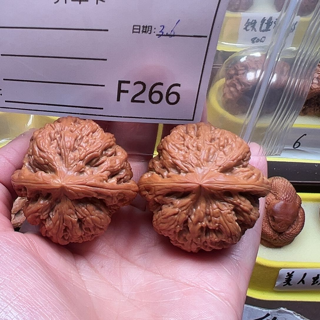 粗筋粗筋粗筋粗棱41