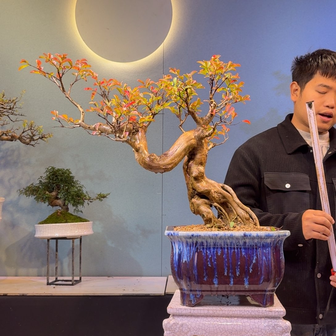 悟***空无花朵红花紫薇一物一拍