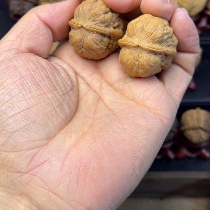 根***根核桃铁核桃迪庆蛤蟆头