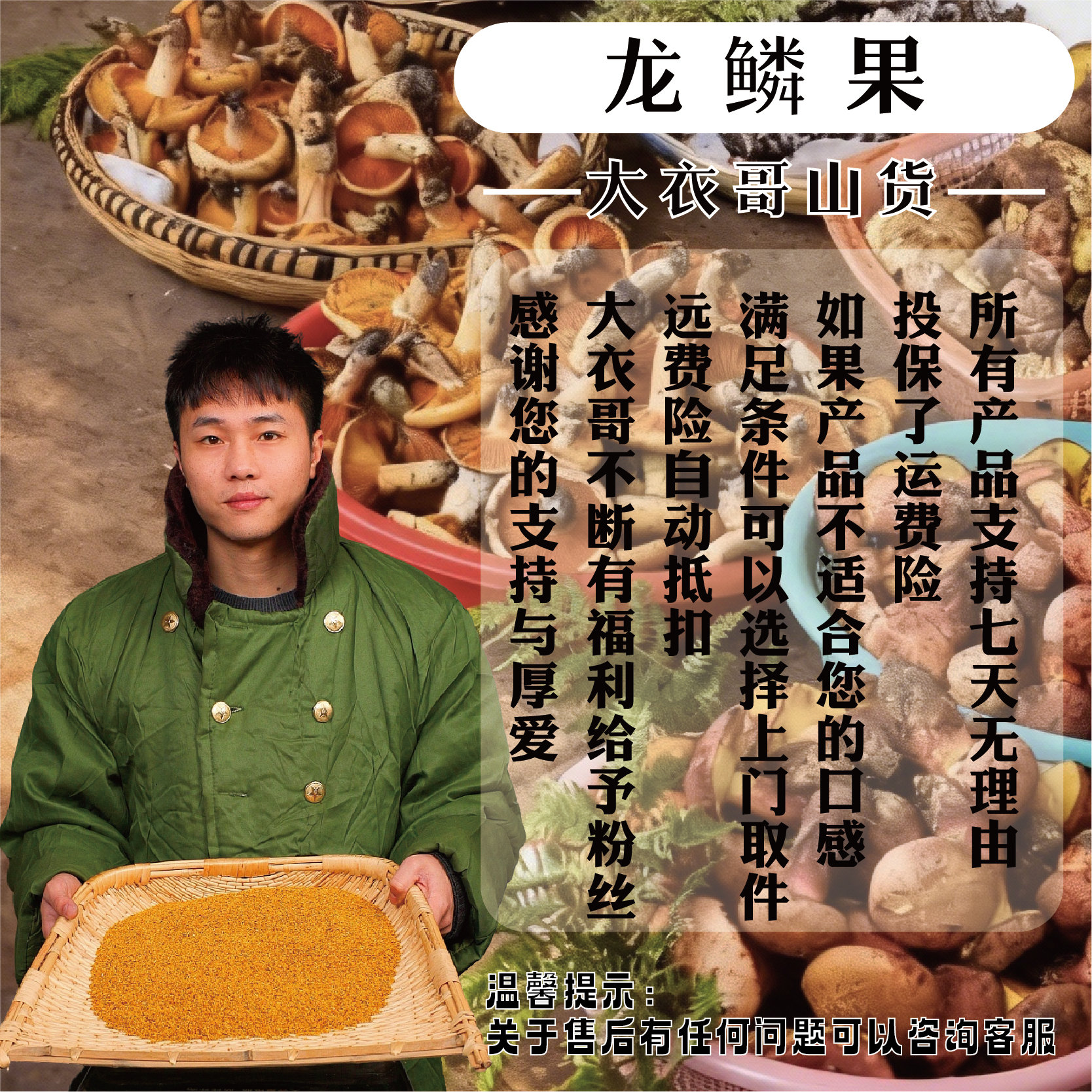 [故里山货]夏至枸杞  龙鳞果