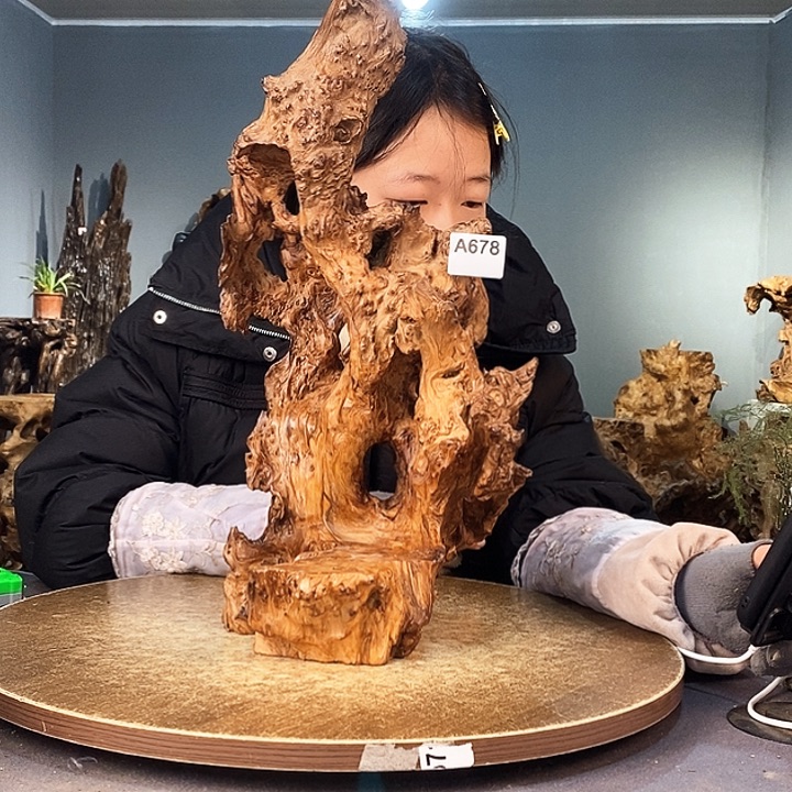 茶盏富*冬678株木底座随行根艺