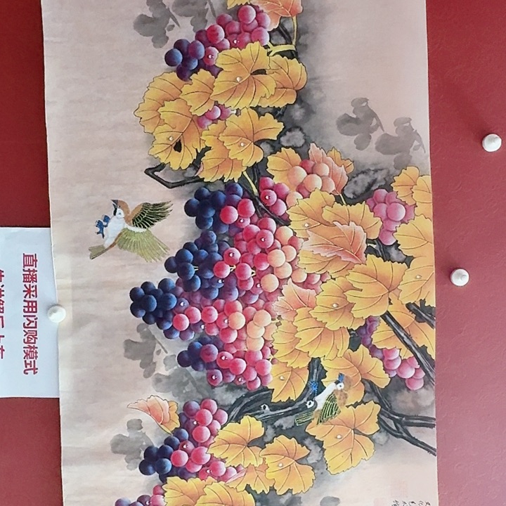 国画黄春香国画葡萄工笔尺寸136/68