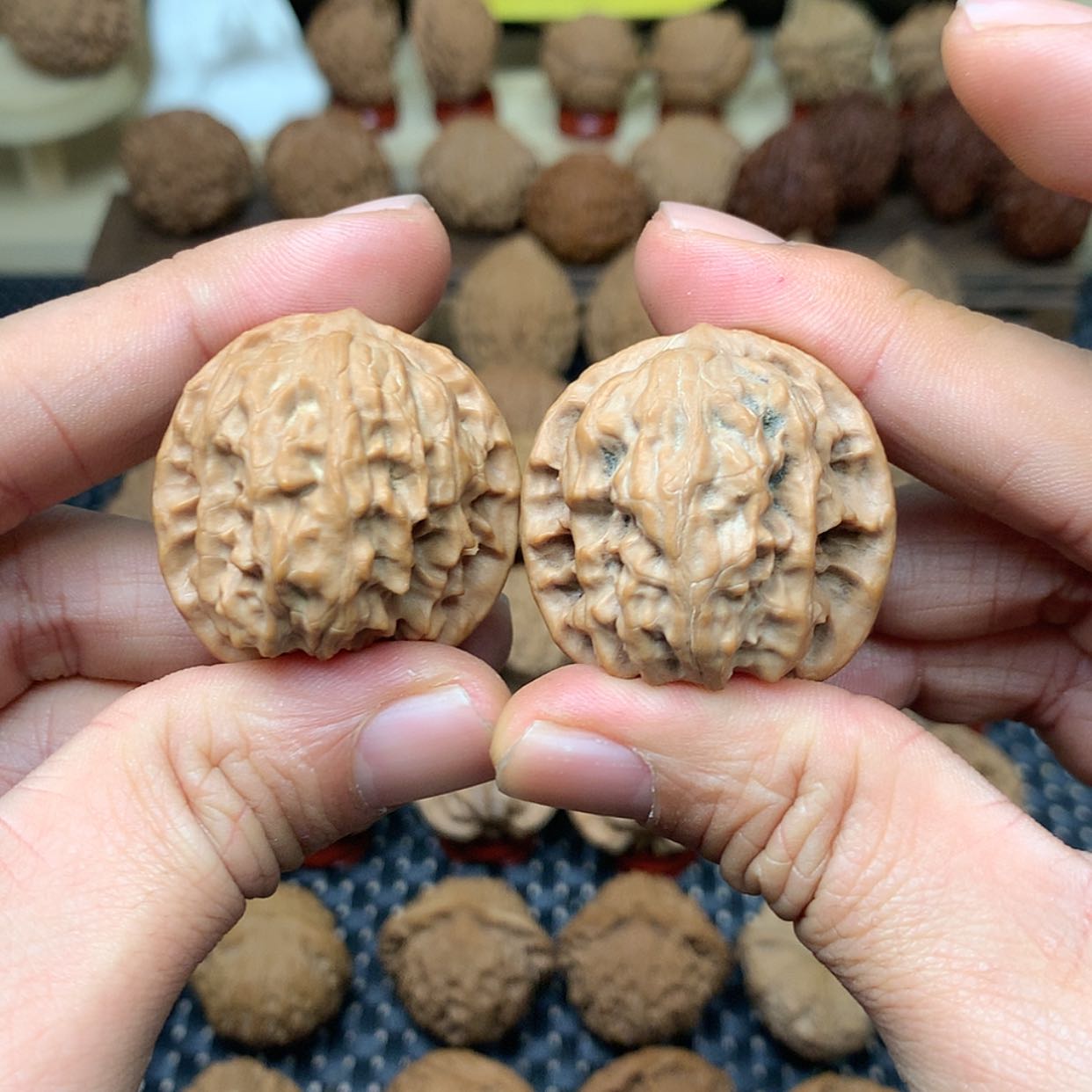 【闪购商品】文玩核桃把件全品野狼狮子头35.5福利