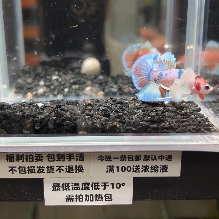 斗鱼竞拍跑单拉黑26日98