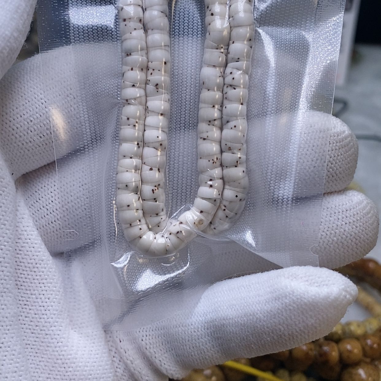 【闪购商品】星月菩提吊坠忘***爱卡5原生态数星星大肠
