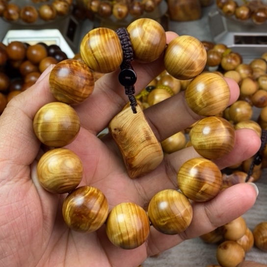 柏木（崖柏）崖柏2.0