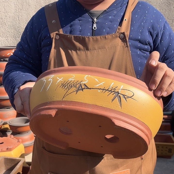 紫砂紫砂花盆盆栽