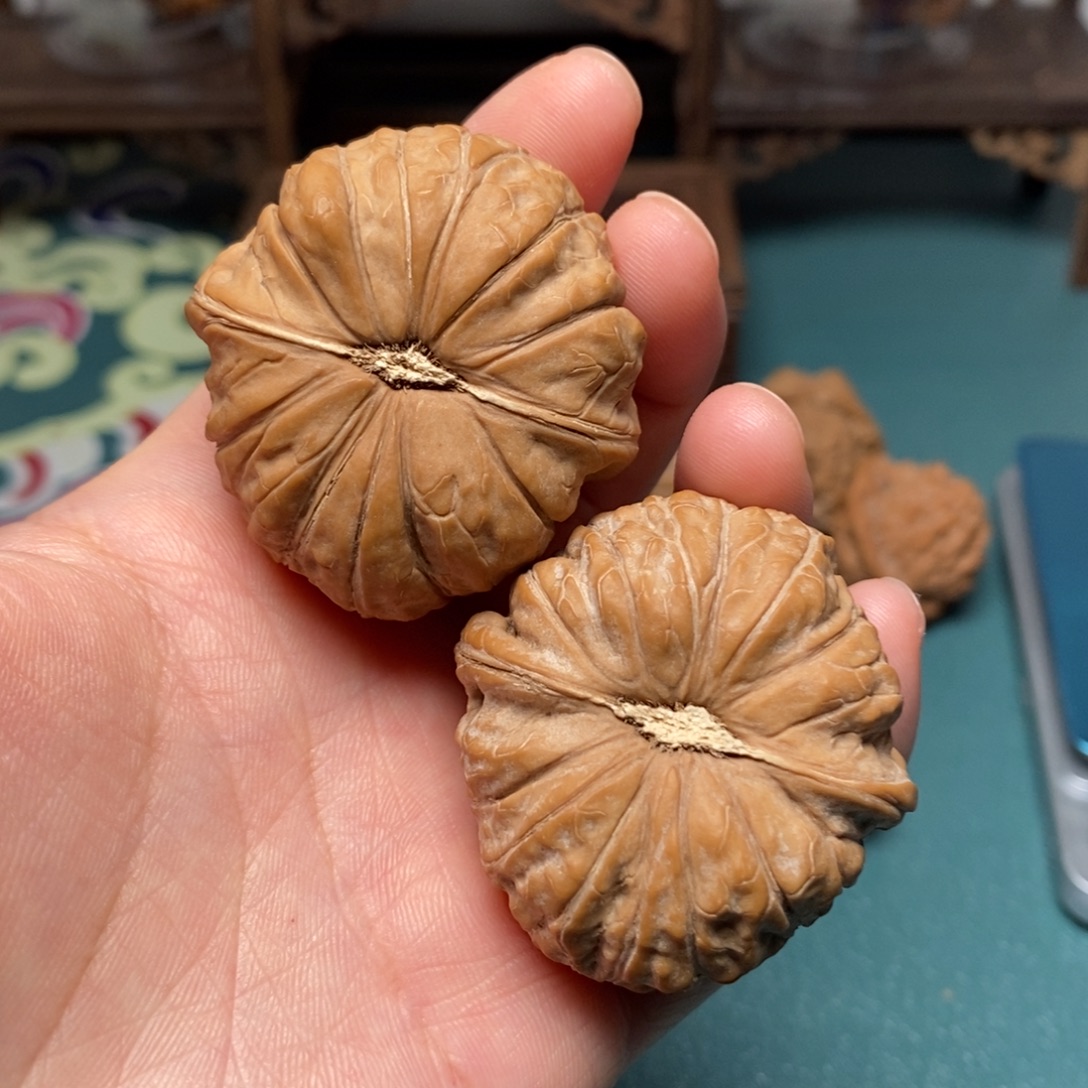 核桃42尺全品南瓜蹲