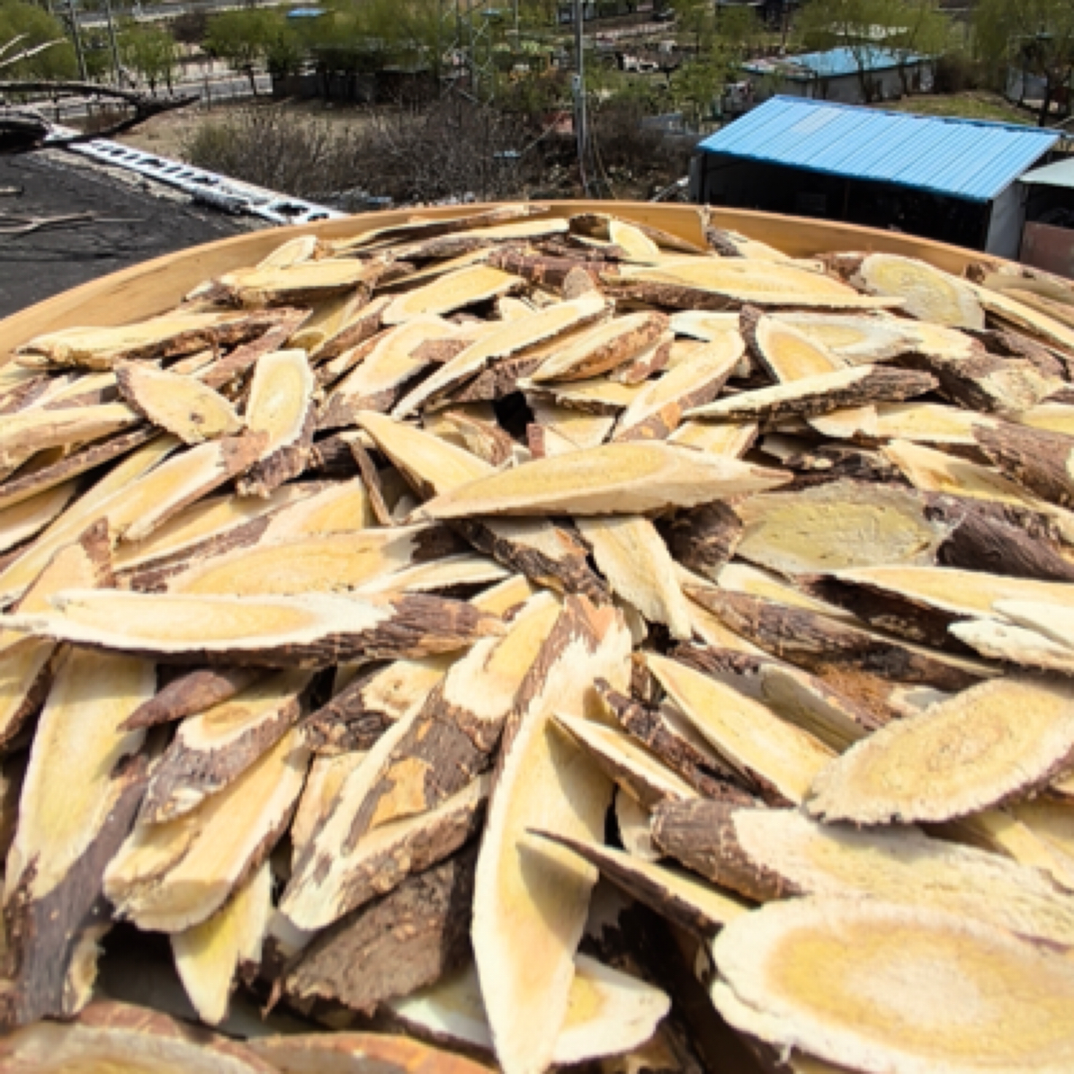 ［西藏收货］西藏波密野生黄芪 精品片