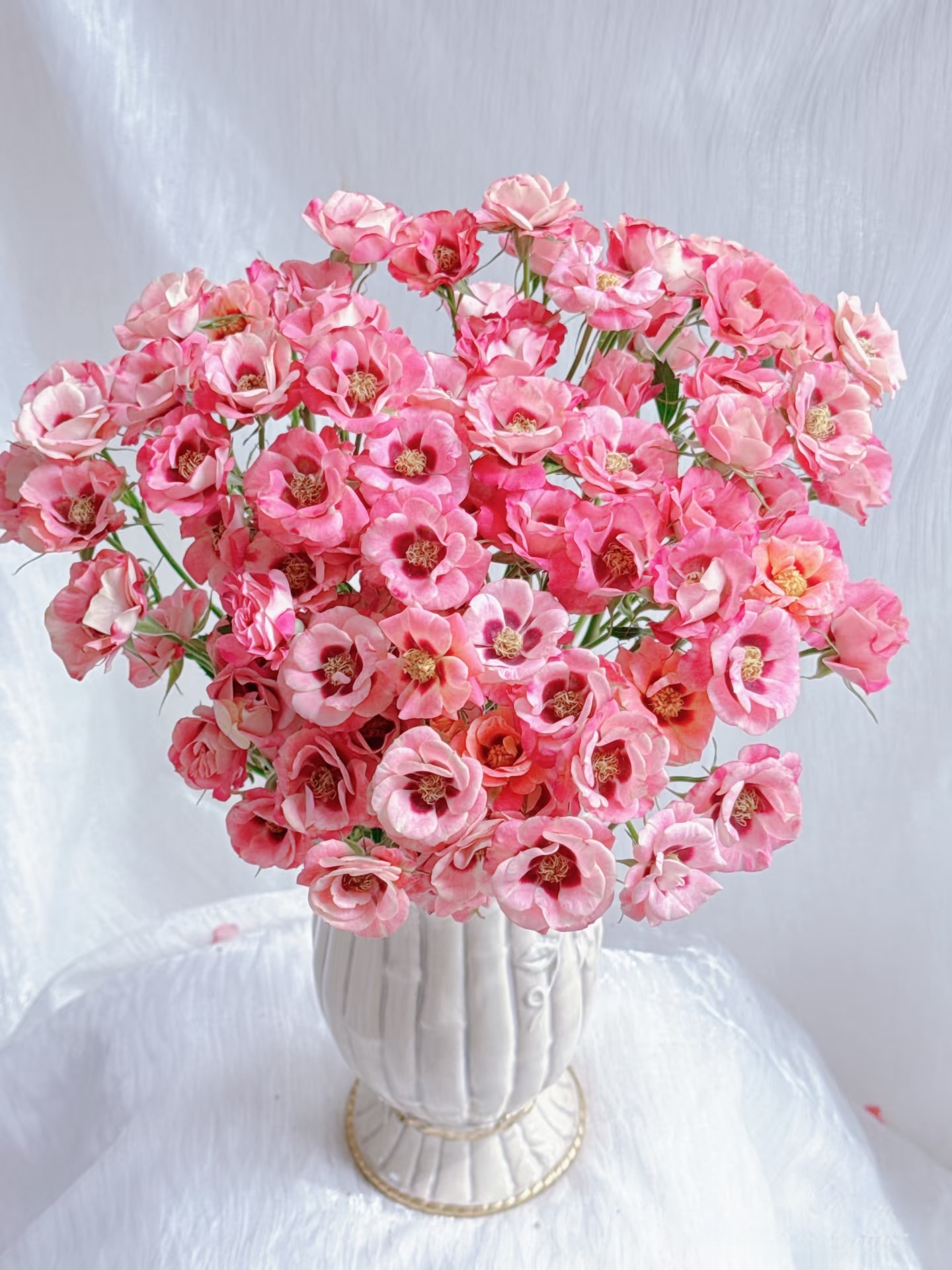 【独鬏鬏优选】A级鲜花 [魔镜少女] 多头玫瑰 现采现发 顺丰冷链发