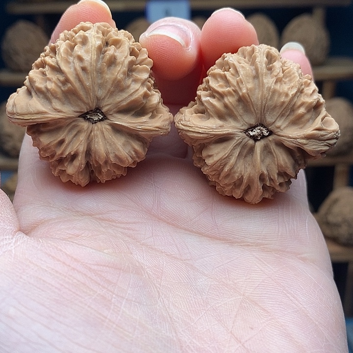 南将石核桃40团子