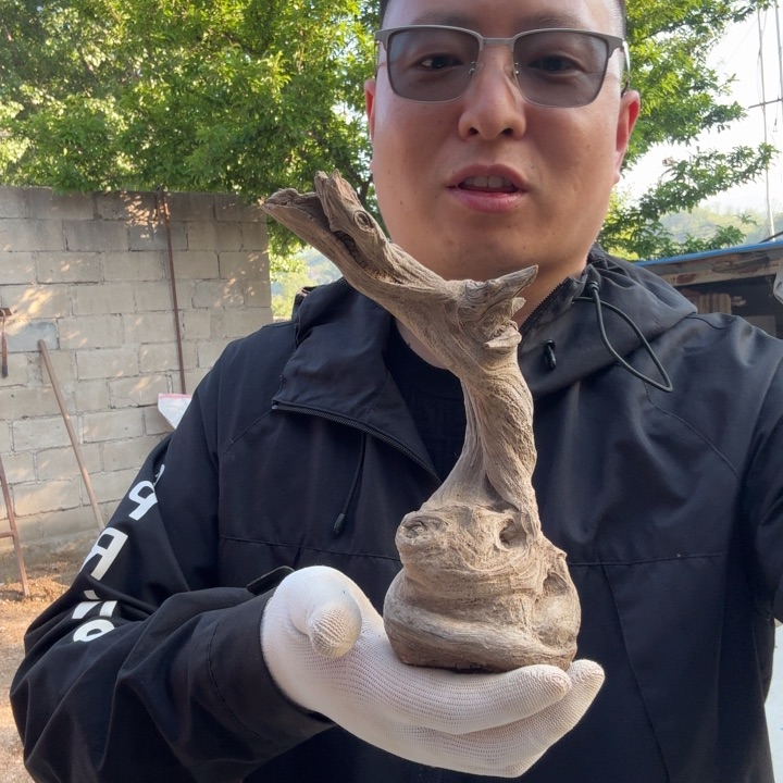 香榧木鷠工艺品摆件精品