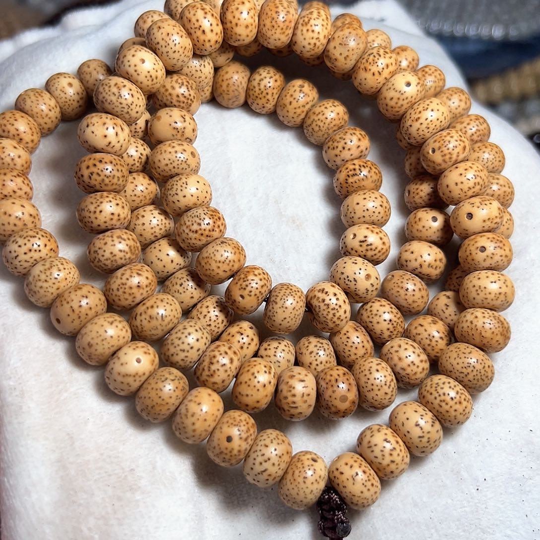 星月菩提手串星月菩提脱脂陈子