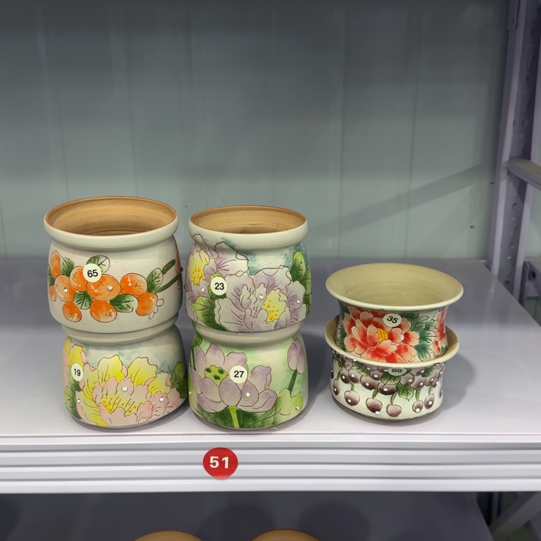 红陶田小姐多肉花盆