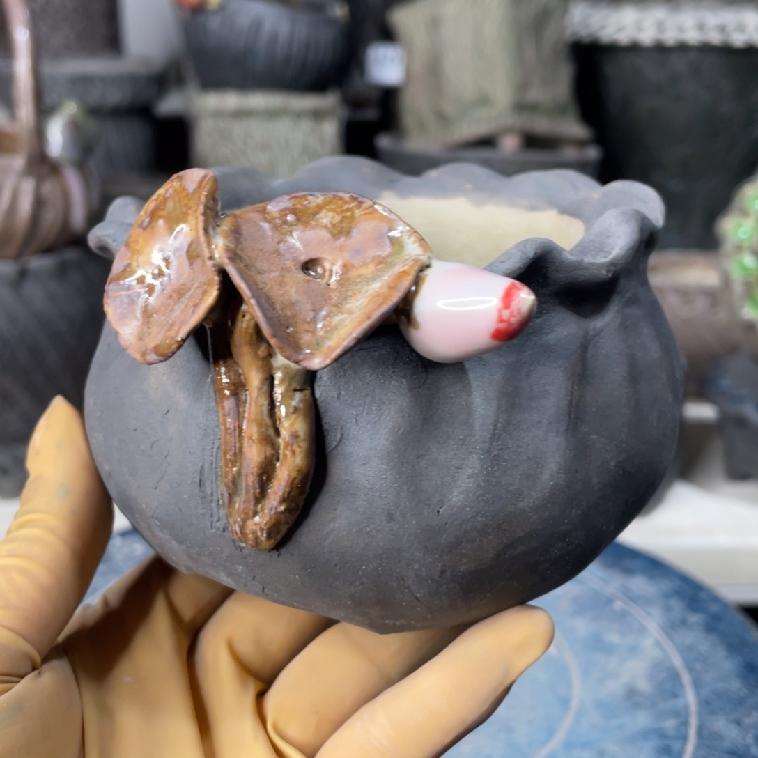 红陶一个人的时候就会